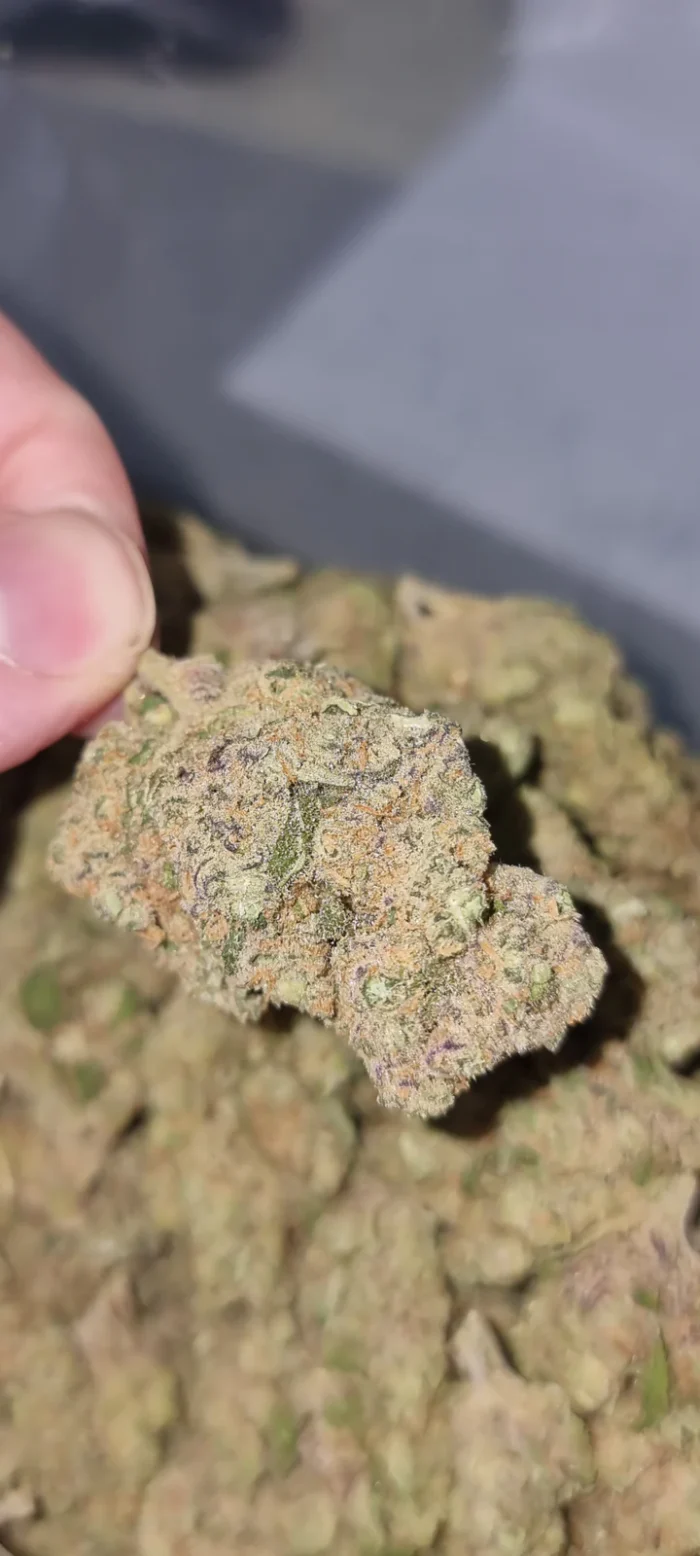 Super Banana CBD Hemp Flower 31% CBD [Cali Batch]